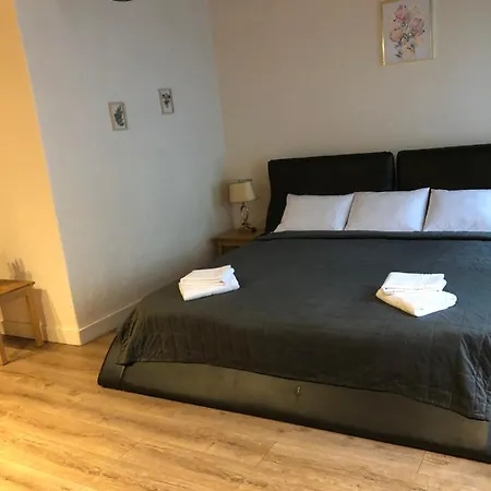 Apartment Casa Oliver Brasov